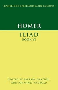 bokomslag Homer: Iliad Book VI