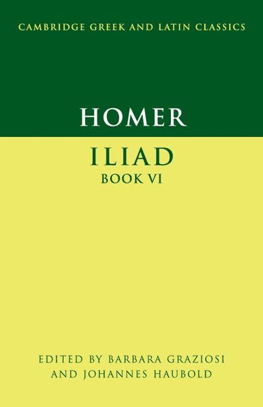 bokomslag Homer: Iliad Book VI