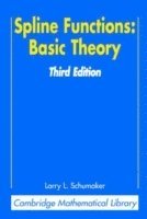 Larry Schumaker, Tennessee) Schumaker, Larry (Vanderbilt University - Spline Functions: Basic Theory, Häftad