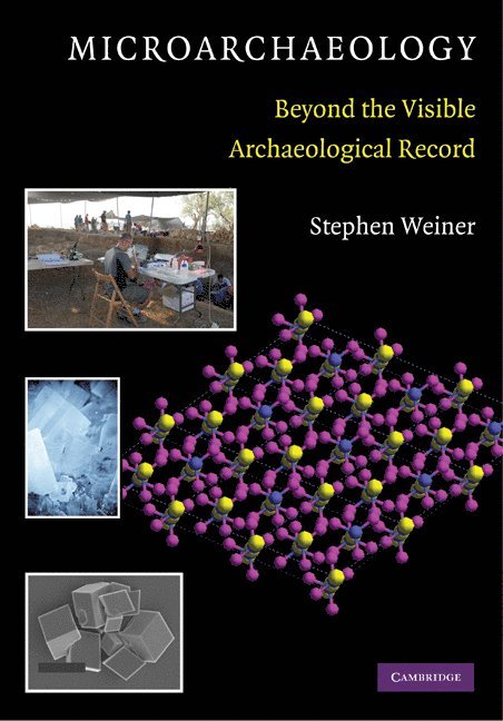 Israel) Weiner, Stephen (Weizmann Institute of Science, Stephen Weiner - Microarchaeology, Häftad
