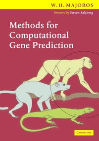 bokomslag Methods for Computational Gene Prediction