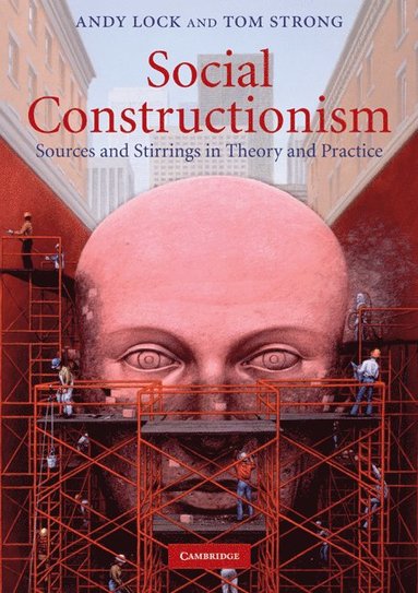 bokomslag Social Constructionism