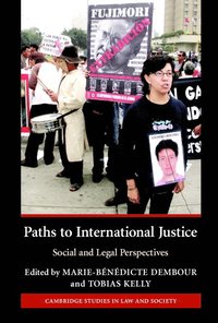 bokomslag Paths to International Justice