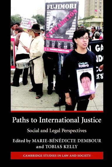 bokomslag Paths to International Justice