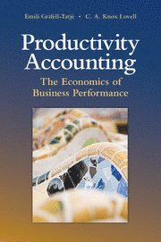 bokomslag Productivity Accounting