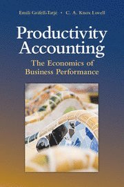 Productivity Accounting