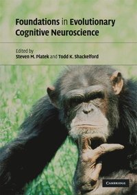 bokomslag Foundations in Evolutionary Cognitive Neuroscience