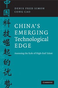 bokomslag China's Emerging Technological Edge