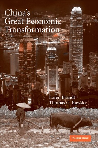 Loren Brandt, Thomas G. Rawski - China's Great Economic Transformation, Häftad