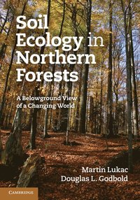 bokomslag Soil Ecology in Northern Forests
