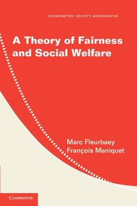 bokomslag A Theory of Fairness and Social Welfare