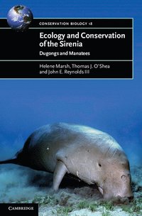 bokomslag Ecology and Conservation of the Sirenia