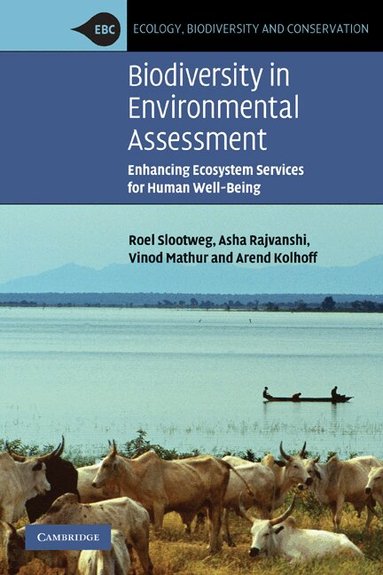 Roel Slootweg, Asha Rajvanshi, Vinod B. Mathur, Arend Kolhoff - Biodiversity in Environmental Assessment, Häftad