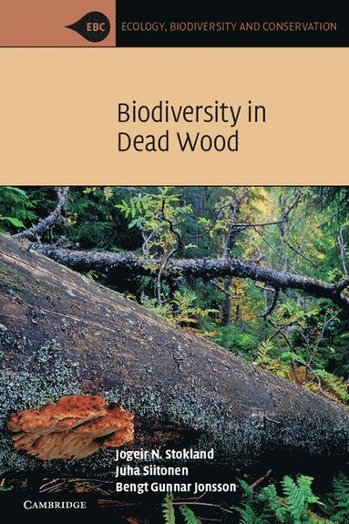 bokomslag Biodiversity in Dead Wood