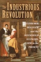 bokomslag The Industrious Revolution