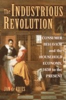 bokomslag The Industrious Revolution: Consumer Behavior and the Household Economy, 1650 to the Present