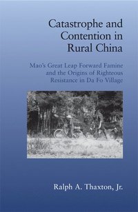 bokomslag Catastrophe Contention Rural China