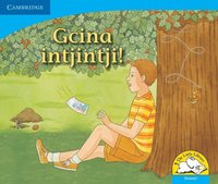 bokomslag Gcina intjintji! (Siswati)