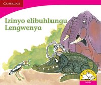 bokomslag Izinyo elibuhlungu Lengwenya (IsiZulu)