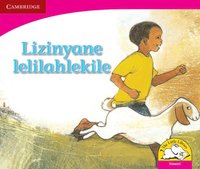 bokomslag Lizinyane lelilahlekile (Siswati)