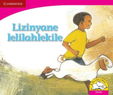 bokomslag Lizinyane lelilahlekile (Siswati)