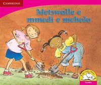 bokomslag Metswalle e mmedi e meholo (Sesotho)