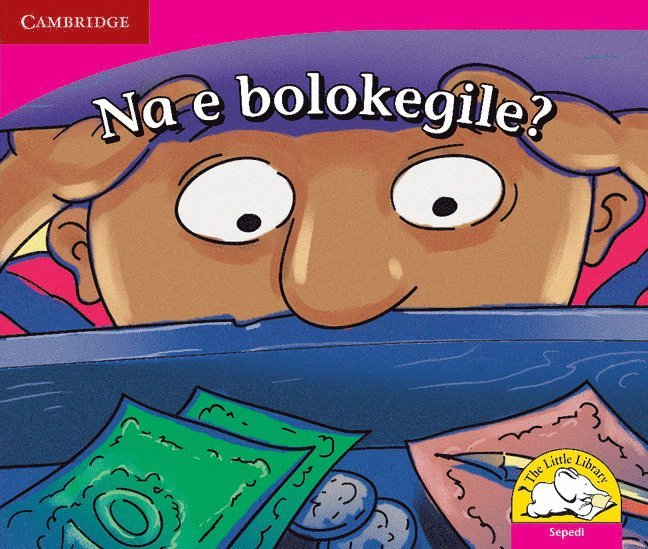 Reviva Schermbrucker - Na e bolokegile? (Sepedi), Häftad