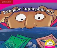 bokomslag Kungabe kuphephile na? (IsiNdebele)