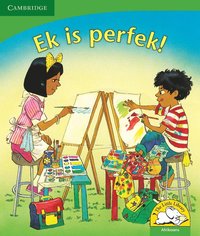 bokomslag Ek is perfek! (Afrikaans)