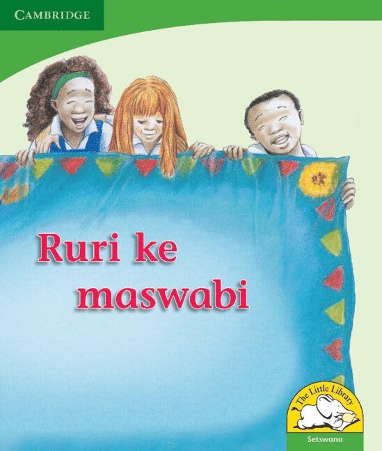 Reviva Schermbrucker - Ruri ke maswabi (Setswana), Häftad