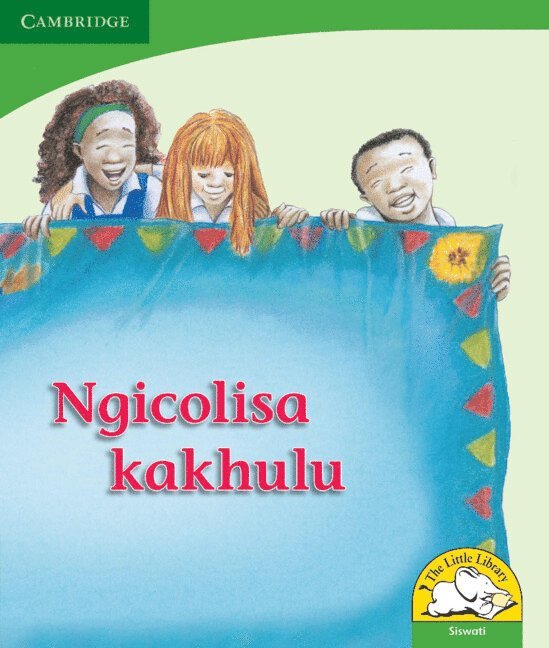 Reviva Schermbrucker - Ngicolisa kakhulu (Siswati), Häftad