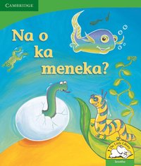 bokomslag Na o ka meneka? (Sesotho)