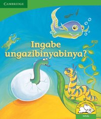 bokomslag Ingabe ungazibinyabinya? (IsiZulu)