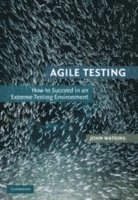 bokomslag Agile Testing