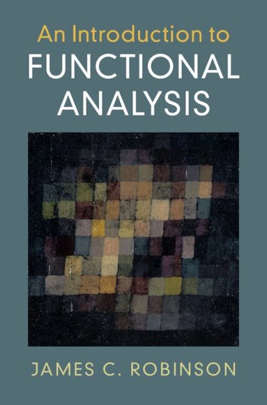 James C. Robinson - An Introduction to Functional Analysis, Häftad