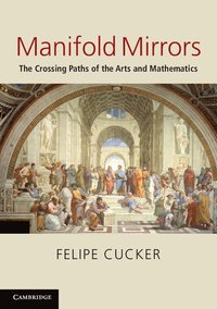 bokomslag Manifold Mirrors