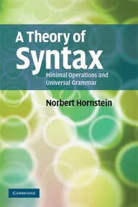 bokomslag A Theory of Syntax