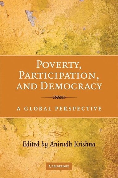 bokomslag Poverty, Participation, and Democracy