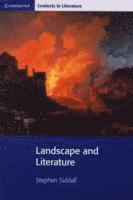Stephen Siddall - Landscape and Literature, Häftad