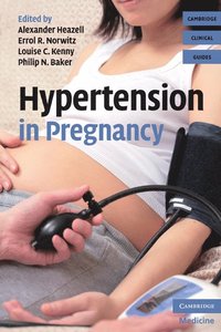 bokomslag Hypertension in Pregnancy
