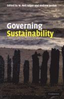 bokomslag Governing Sustainability