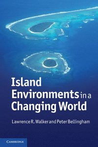 bokomslag Island Environments in a Changing World