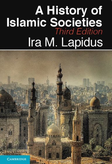 bokomslag A History of Islamic Societies