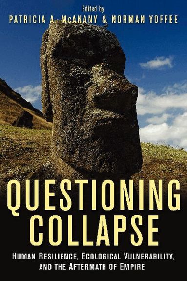 Patricia A. McAnany, Norman Yoffee - Questioning Collapse, Häftad