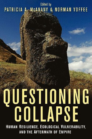 bokomslag Questioning Collapse