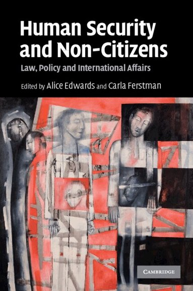 Alice Edwards, Carla Ferstman - Human Security and Non-Citizens, Häftad