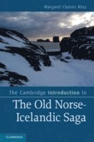 bokomslag The Cambridge Introduction to the Old Norse-Icelandic Saga