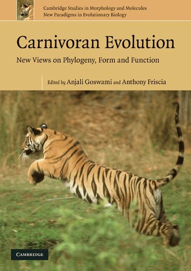Anjali Goswami, Anthony Friscia - Carnivoran Evolution, Häftad