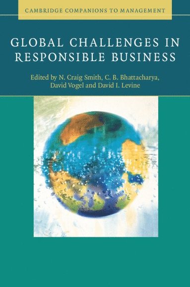 bokomslag Global Challenges in Responsible Business