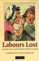 bokomslag Labours Lost